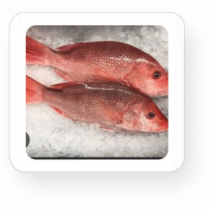 Frozen Pegasus Dory Fillet 500 g/pack