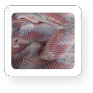Frozen Pangasius Dory Fillet 500 g/pack