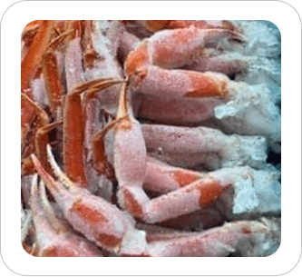 Snow Crab Legs
