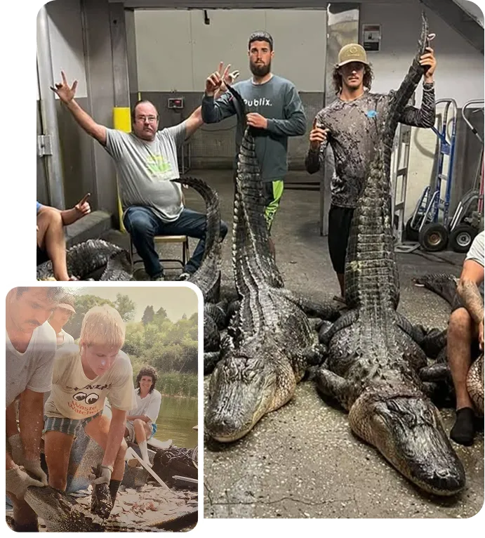 gatorhunting