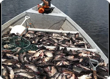 taste of Florida’s waters
